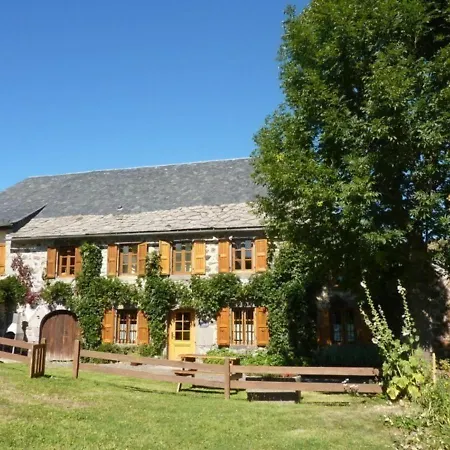 Gite Calme Au Coeur Des Volcans D'auvergne Avec Jardin, Cheminee Et Acces Internet. - Fr-1-742-48 Vakantiehuis *